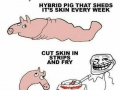 Trolololol