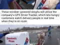 Domino's Japan is training reindeer to deliver pizza