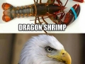 What animals should be called