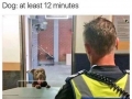 A long time for doggo