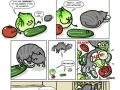 Cat vs cucumber