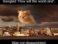 Cats are taking over!
