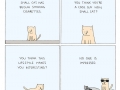 Cool cats