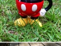 Hedgehogs are the cutest!
