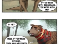 The legend of how kangaroo was beaten up