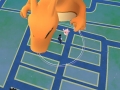 Pokemon GO bug turning buddies into giants