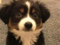 Dat cute face