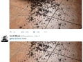 You a**hole!