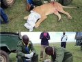Faith in humanity restored