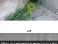 Hilarious dog snapchats