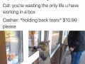Da real mvp