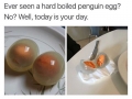 Boiled penguin eggs