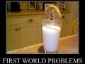 First world problems
