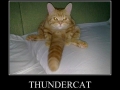 Thundercat