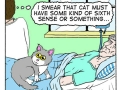 Mittens
