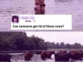 Savage!