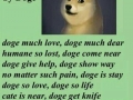 Much poem. Wow. Such doge