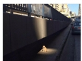 Side quest
