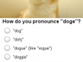 Such question, many answers. Wow