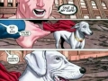Superdog
