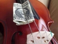 Viola-ted