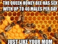 What a busy bee she is
