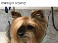 We all know someone like this
