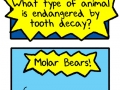 What animal is endangered by tooth decay