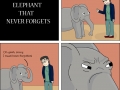 The elephant that never forgets