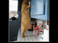 I'll get my own!