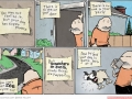 Your dog has super powers