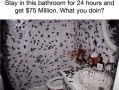 Would you do it?