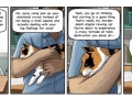 Why your cat purrs