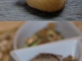 Hamster b*tts