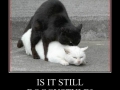 Is it?