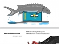 Endangered species