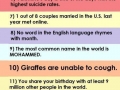 Interesting facts