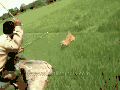 Dat magical leap tho