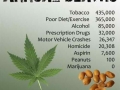 Safer Than Peanuts!