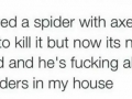 F**kboi spider
