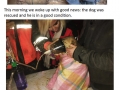 Faith in humanity restored