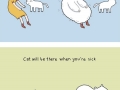 10 purrfect reasons you should get a cat