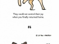 10 things every dog owner knows