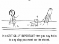 11 ways to tell if youre a crazy dog parent