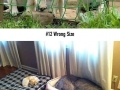 Dog fails thatll make you feel guilty for laughing