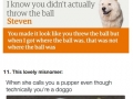 Dog memes that will warm your heart