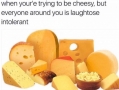 Cheesiness