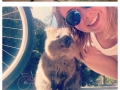 Australians taking selfies with quokkas