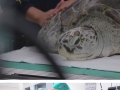 Vets remove 915 coins from stomach of a sick Thai sea turtle