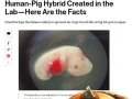 Zelda Breath of the Wild Memes
